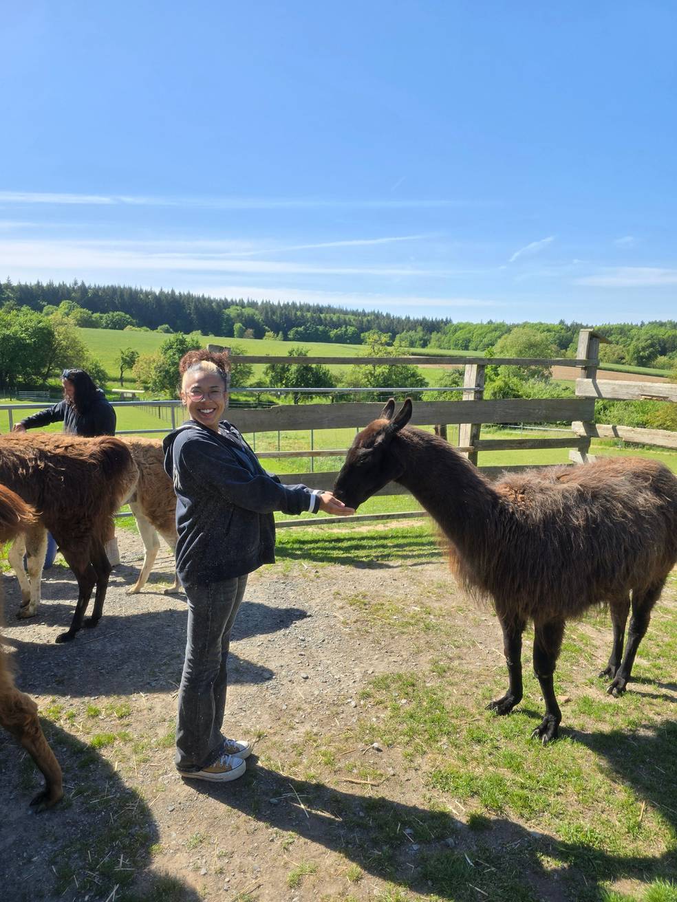 Ausflug mit Lama