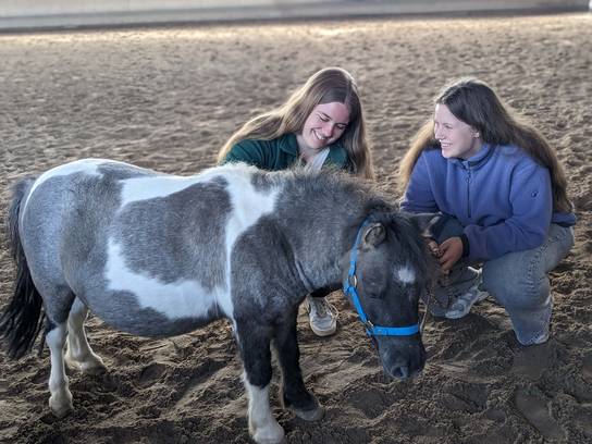Zwei Schülerinnen lächeln das Pony namens Funky an, der fast am einschlafen ist