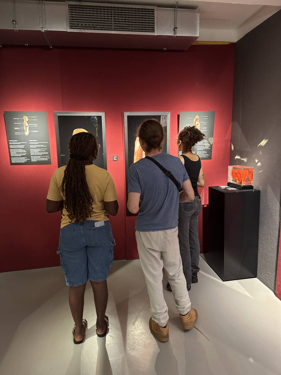 Ausflug Körperwelten