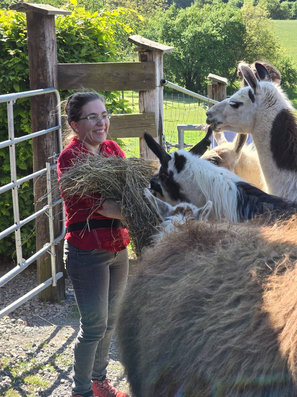 Luisa mit Lamas